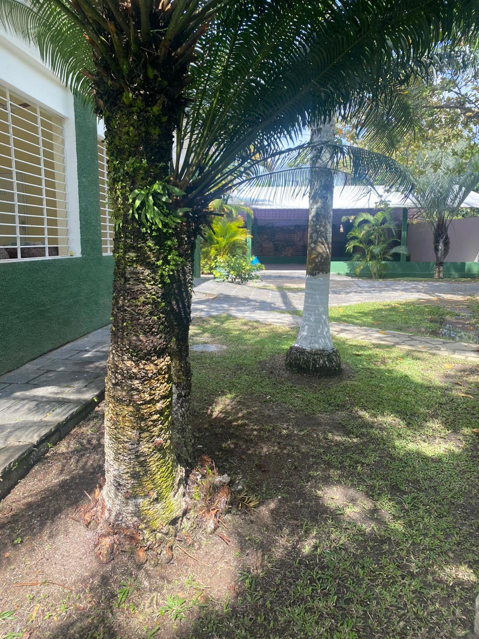 Clinica de recuperação no Pernambuco 9.jpg