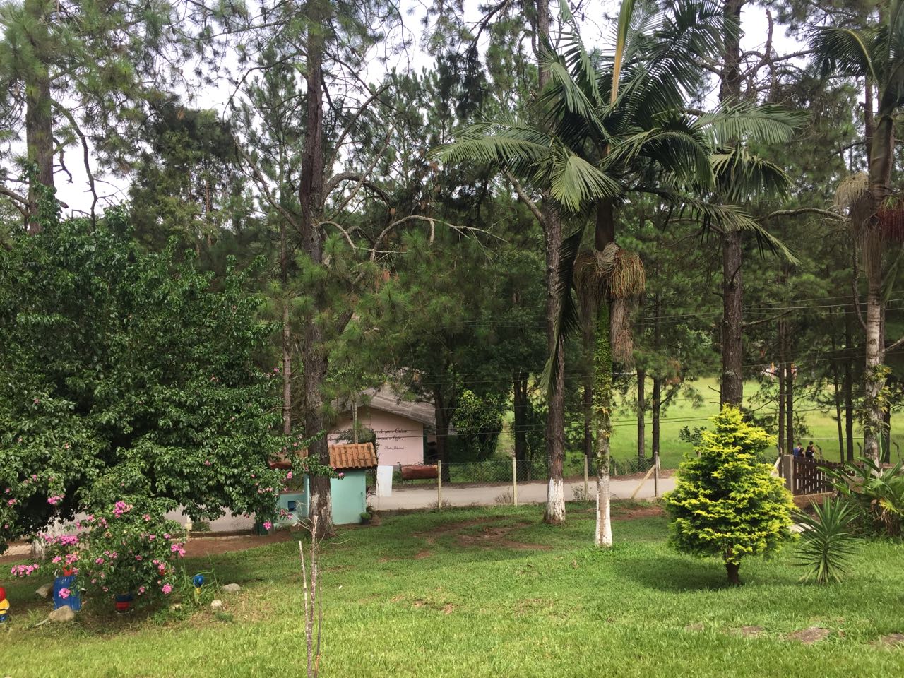 Clinica de Reabilitação de Dependente Químico em São Paulo SP