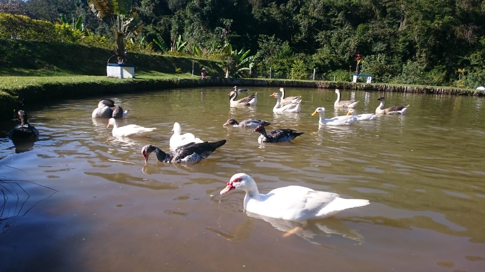 Casa de reabilitação Bom Jesus dos Perdões 14.jpg