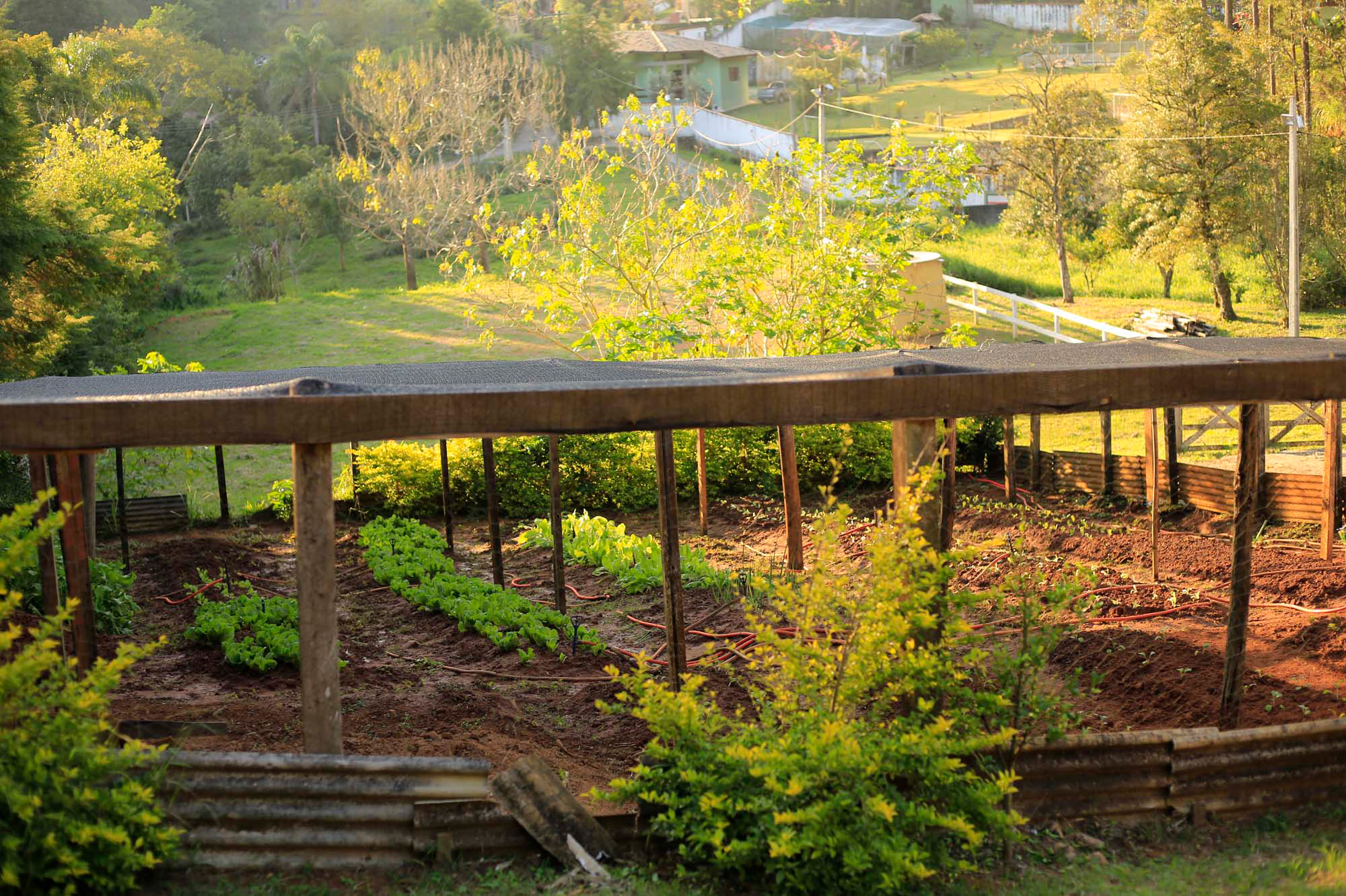 clinica-de-recuperacao-psiquiatra-mairipora-grupo-inter-clinicas (11).jpg