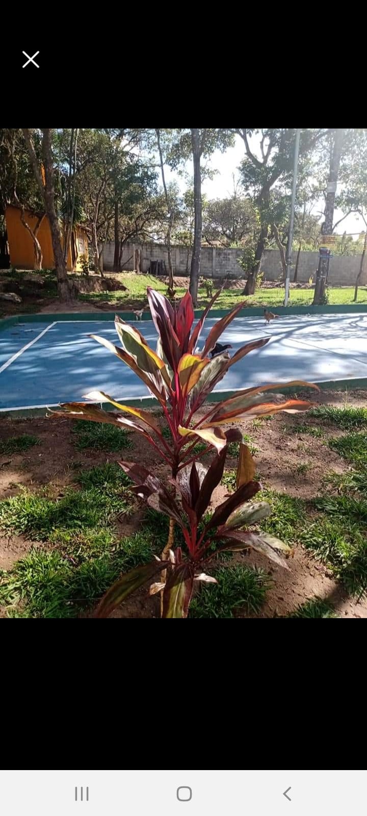 Casa de reabilitação de drogados em Betim 15.jpg