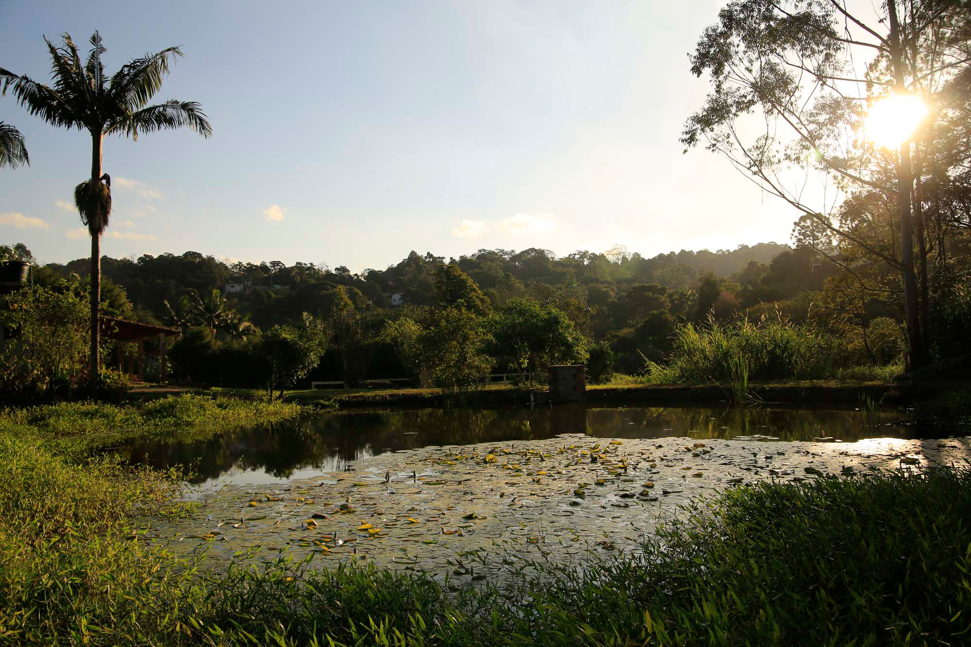clinica-de-recuperacao-psiquiatra-mairipora-grupo-inter-clinicas (12).jpg
