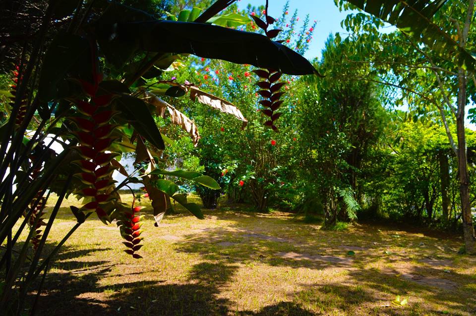 Grupo Inter Clinicas Taubaté 9.jpg