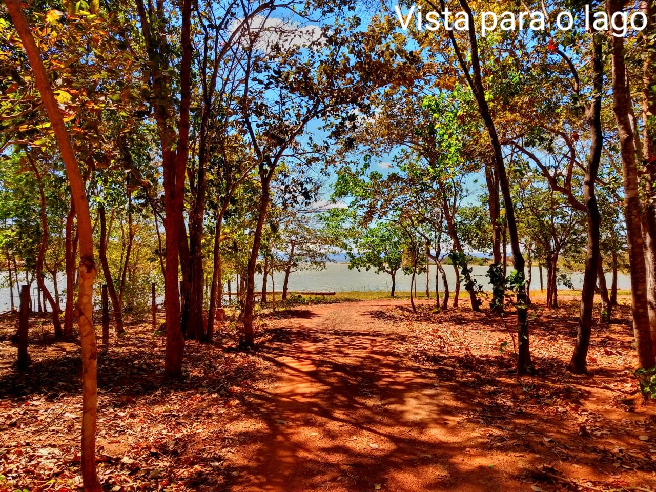 Casa de reabilitação em Palmas 8.jpg