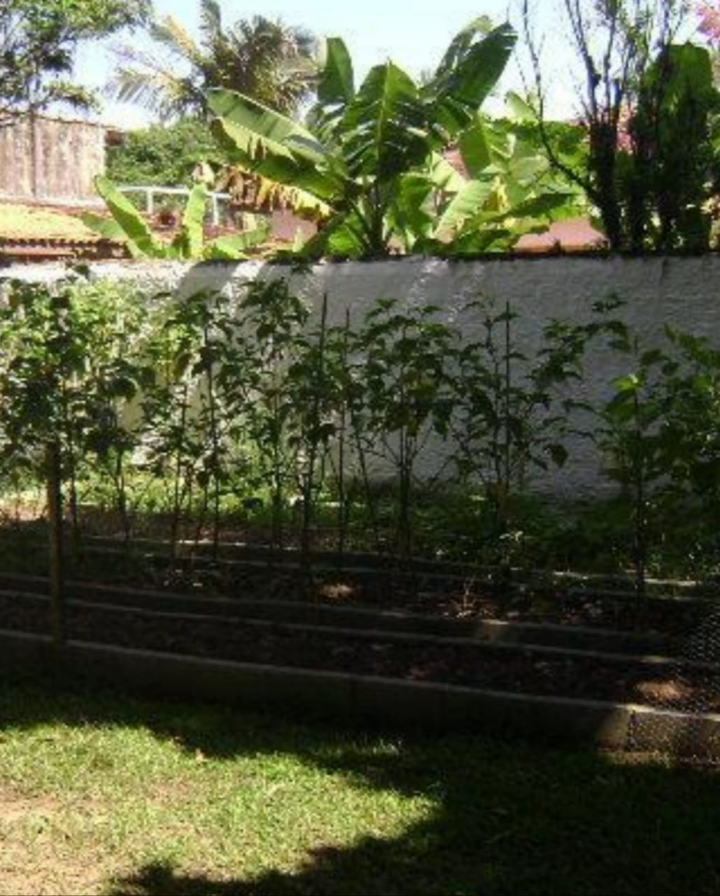 Clinica de reabilitação de dependente químico em Mongaguá 24.jpg