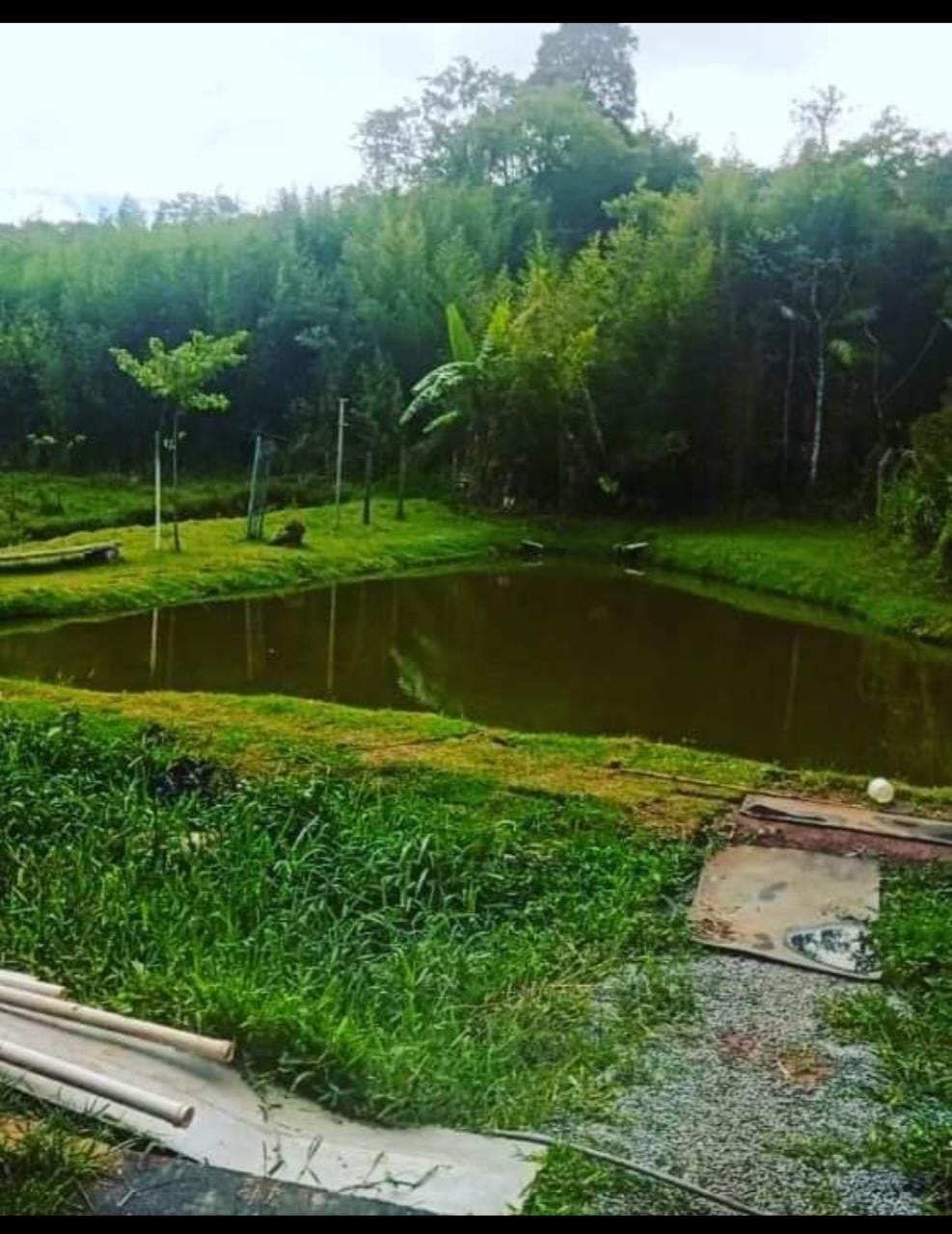 Clínica de recuperação em Mauá 2.jpg