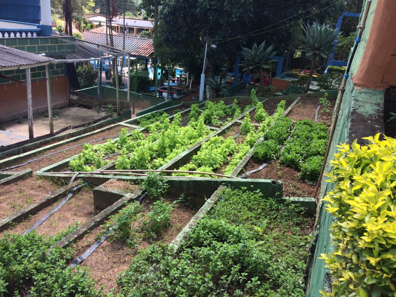 horta clinica de recuperação.jpg