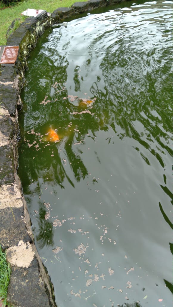 Unidade Itanhaém 5.jpg