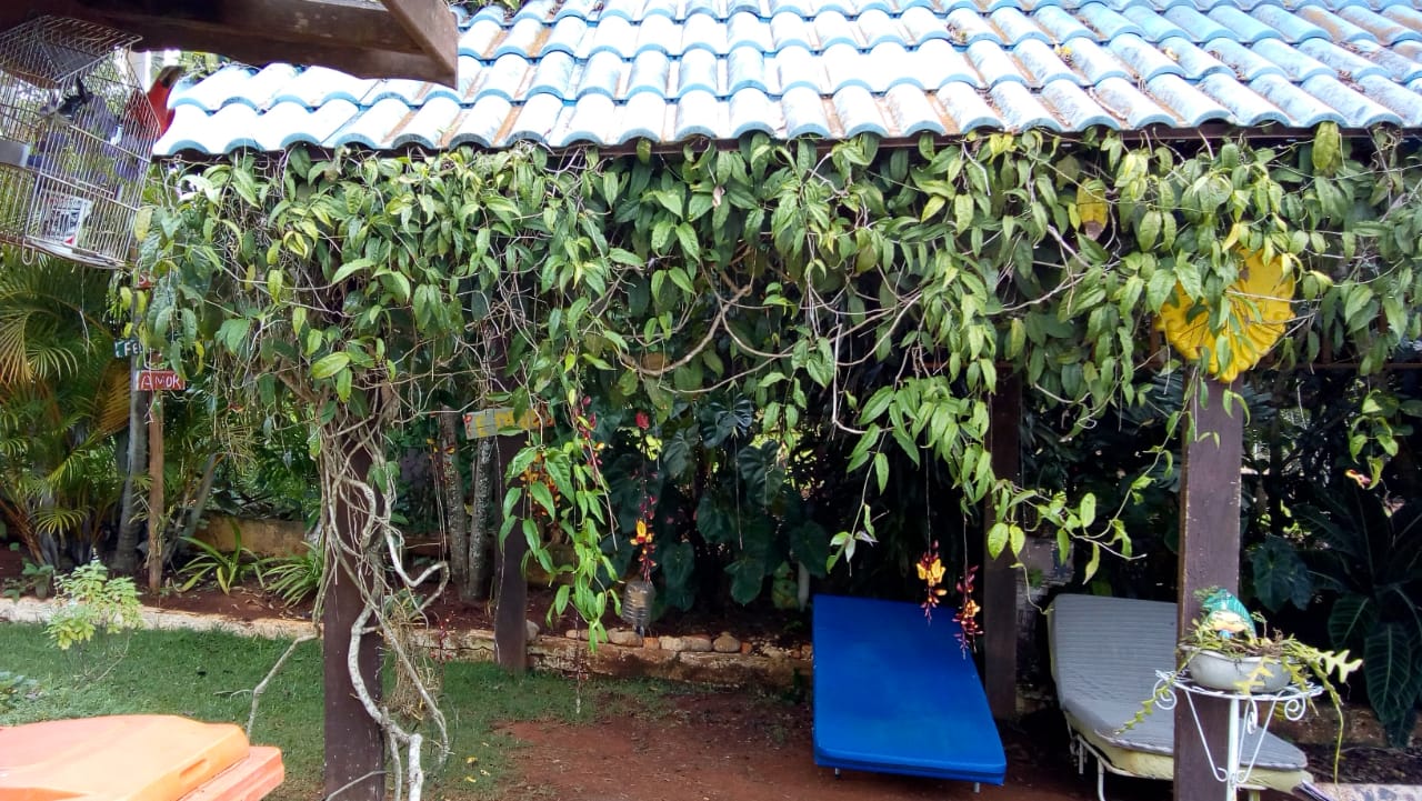 Casa de Recuperação Feminina 2.jpg