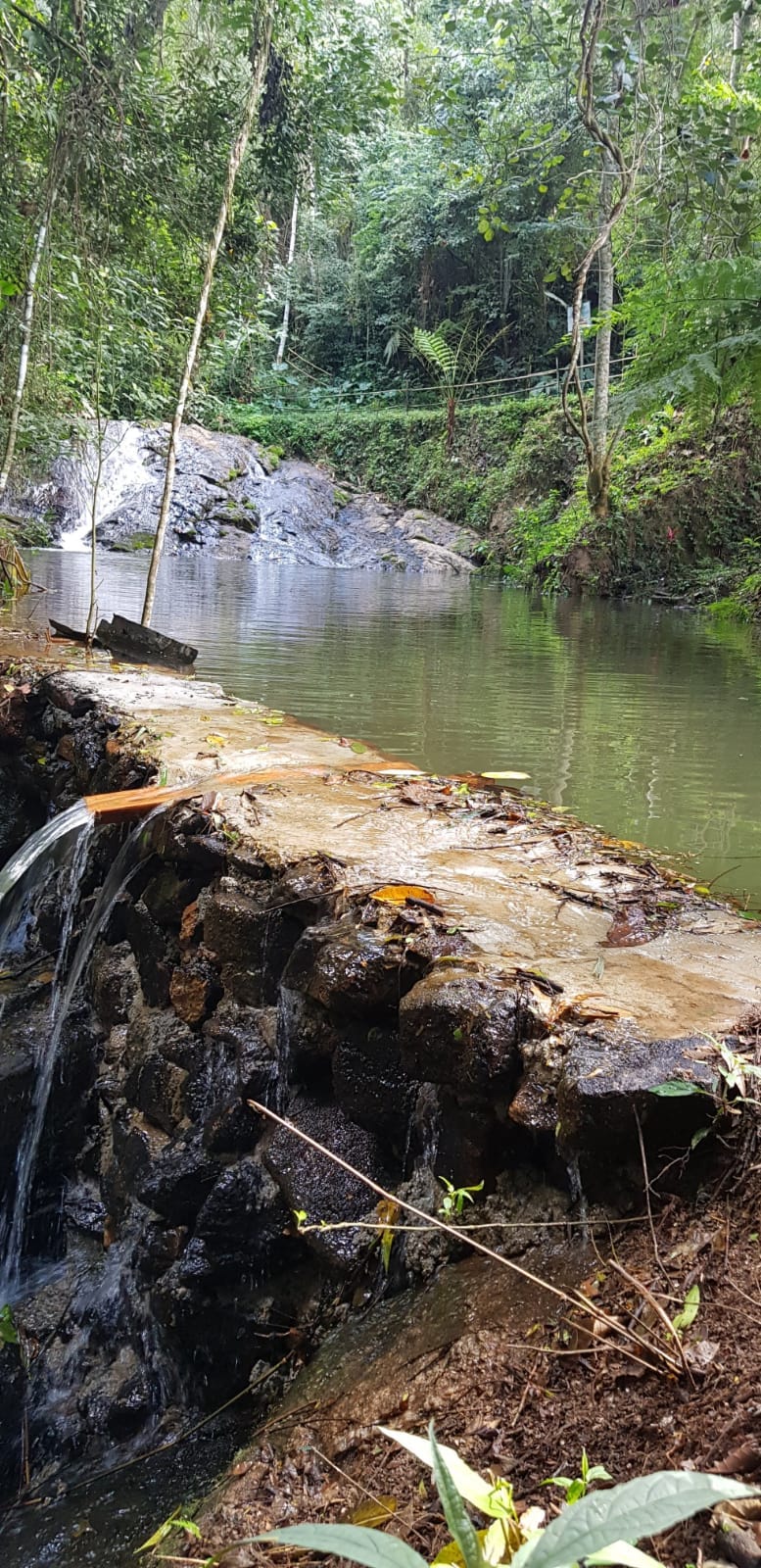 Casa de reabilitação Bom Jesus dos Perdões 8.jpg