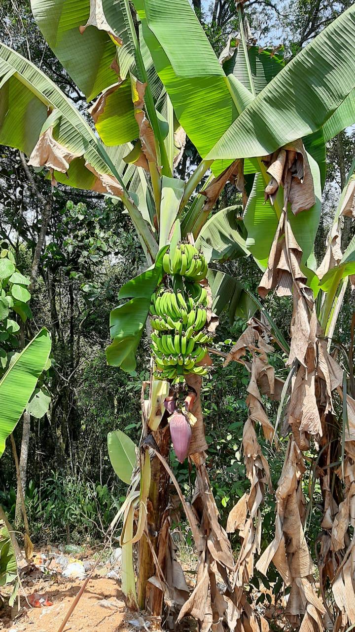 Clinica de recuperação em Guarulhos.jpg