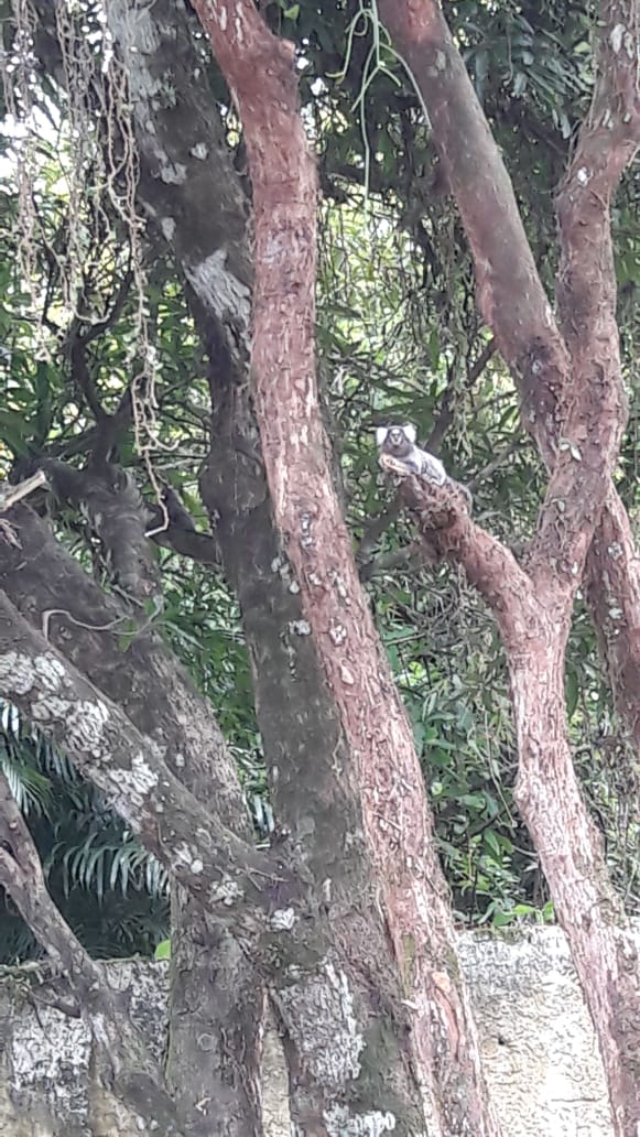 Clinica de reabilitação de dependente químico em Mongaguá 2.jpg