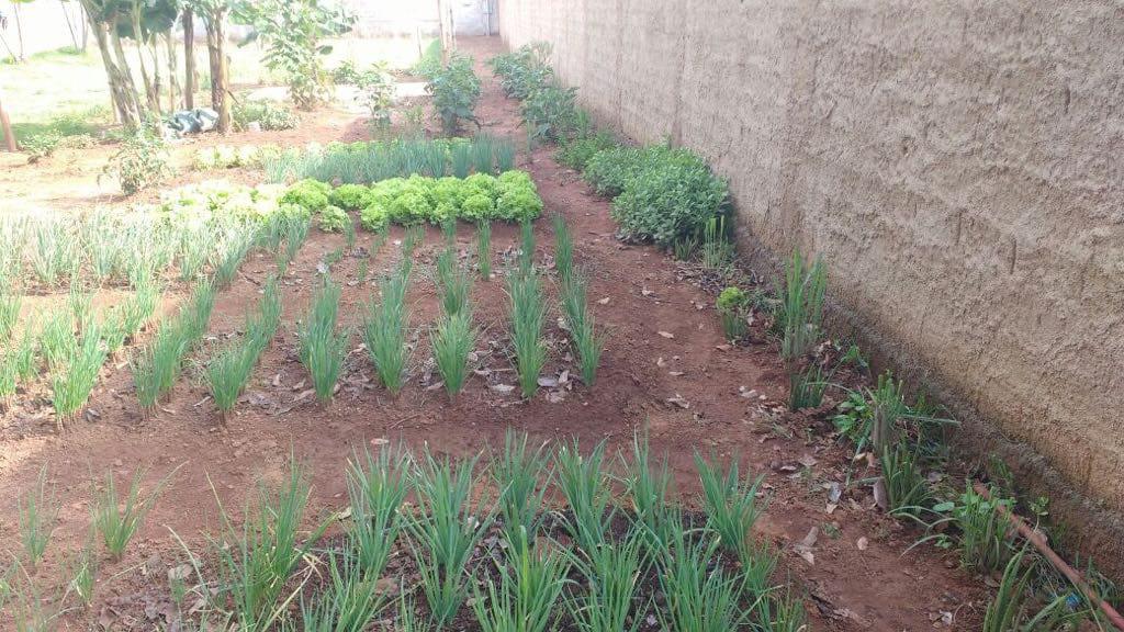 Casa de Recuperação em Goiânia 2.jpg