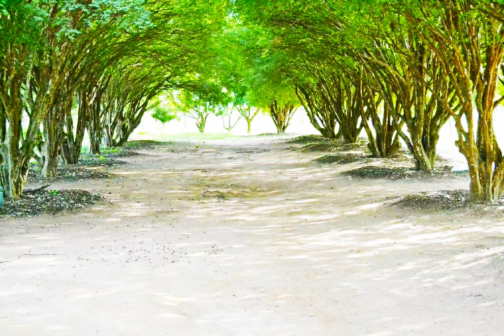 Casa de Recuperação Mogi Guaçu 5.jpg