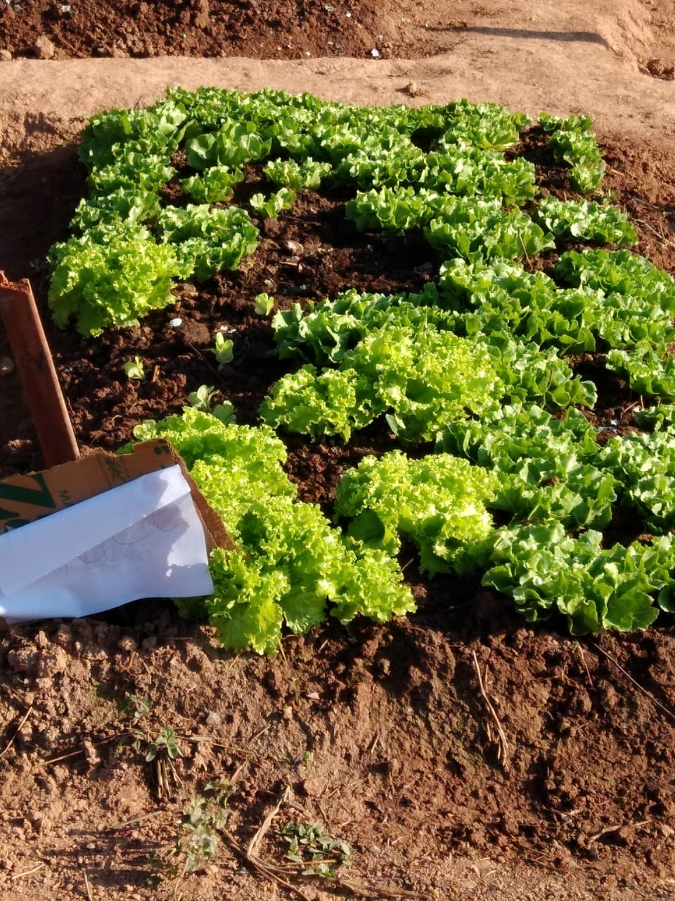 Clinica em Betim MG  3.jpg