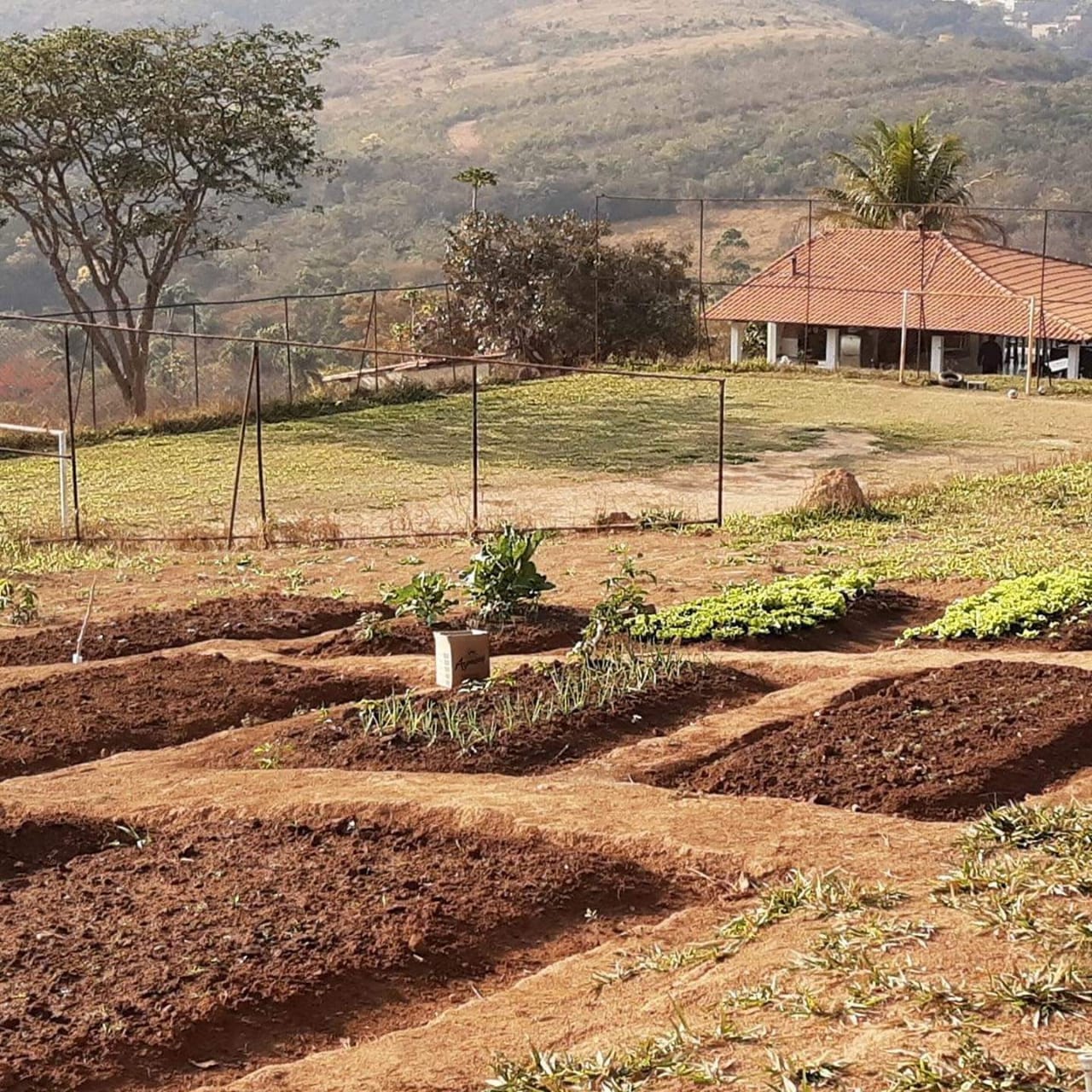 Clinica em Betim MG  11.jpg