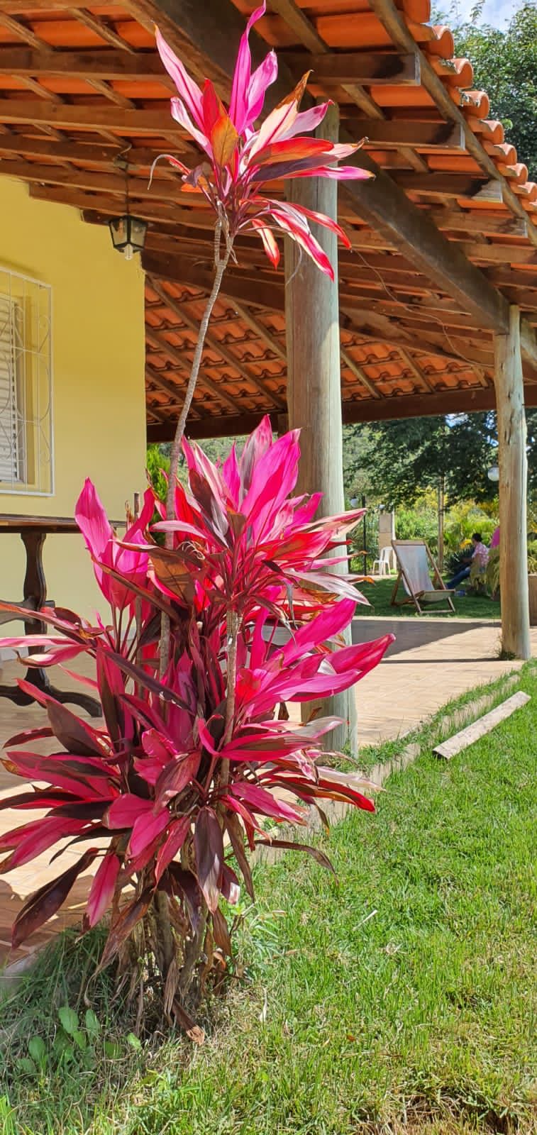 Clinica de reabilitação fem em Lavras MG 6.jpg