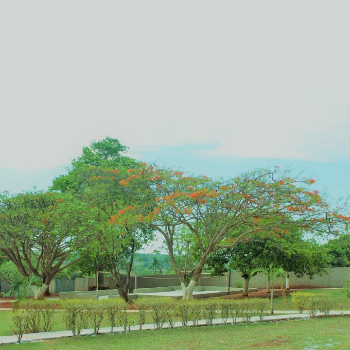 Casa de reabilitação em Anapolis 2.jpg