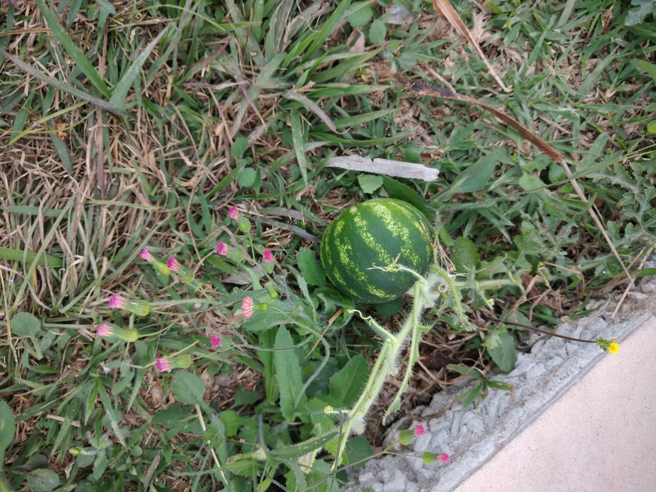 Clinica em Betim MG  5.jpg