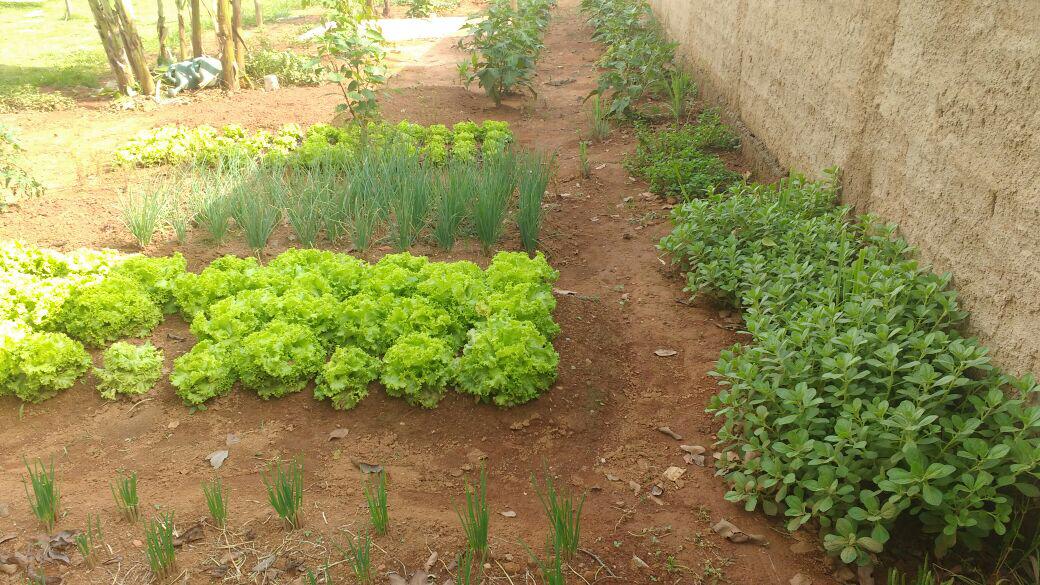 Casa de Recuperação em Goiânia.jpg