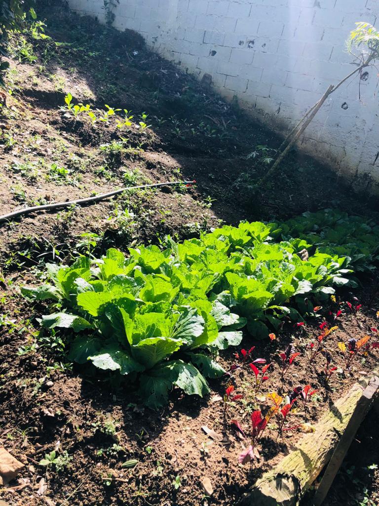 CT Ribeirão Pires 13.jpg