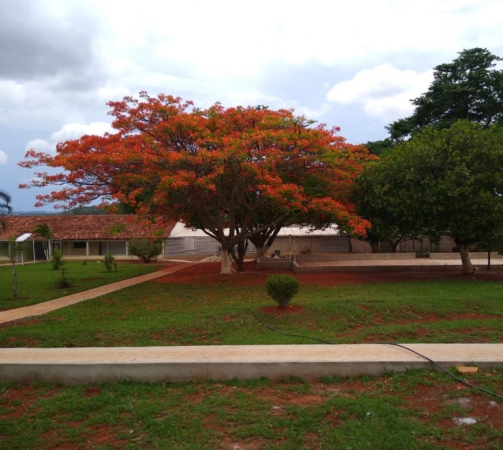 Casa de reabilitação em Anapolis 6.jpg