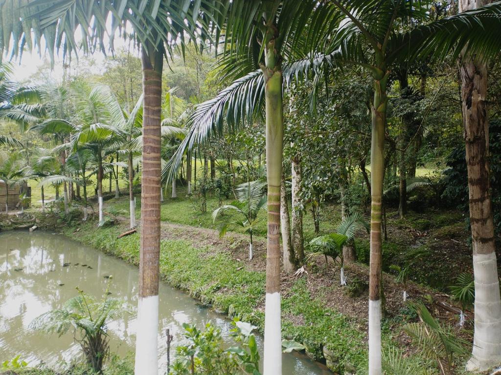 Clinica em Rio Grande da Serra 1.jpg