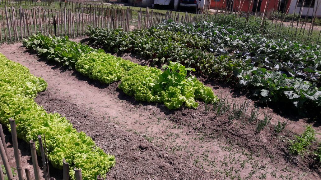 Casa de recuperação Vale do Paraíba Pindamonhangaba 14.jpg