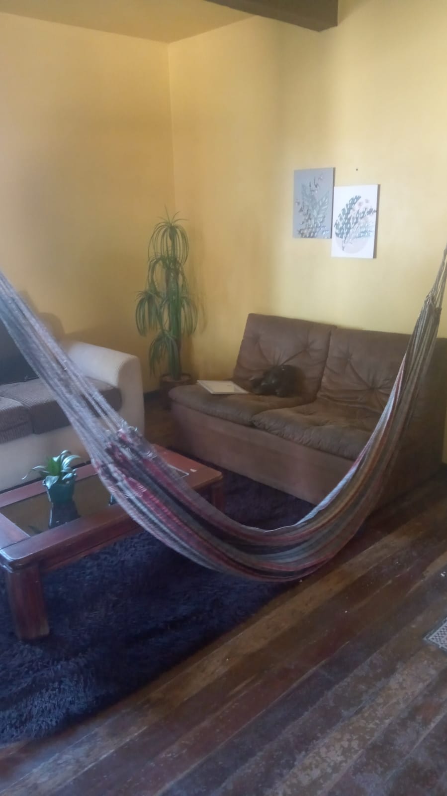 Clinica feminina em Pelotas.jpg