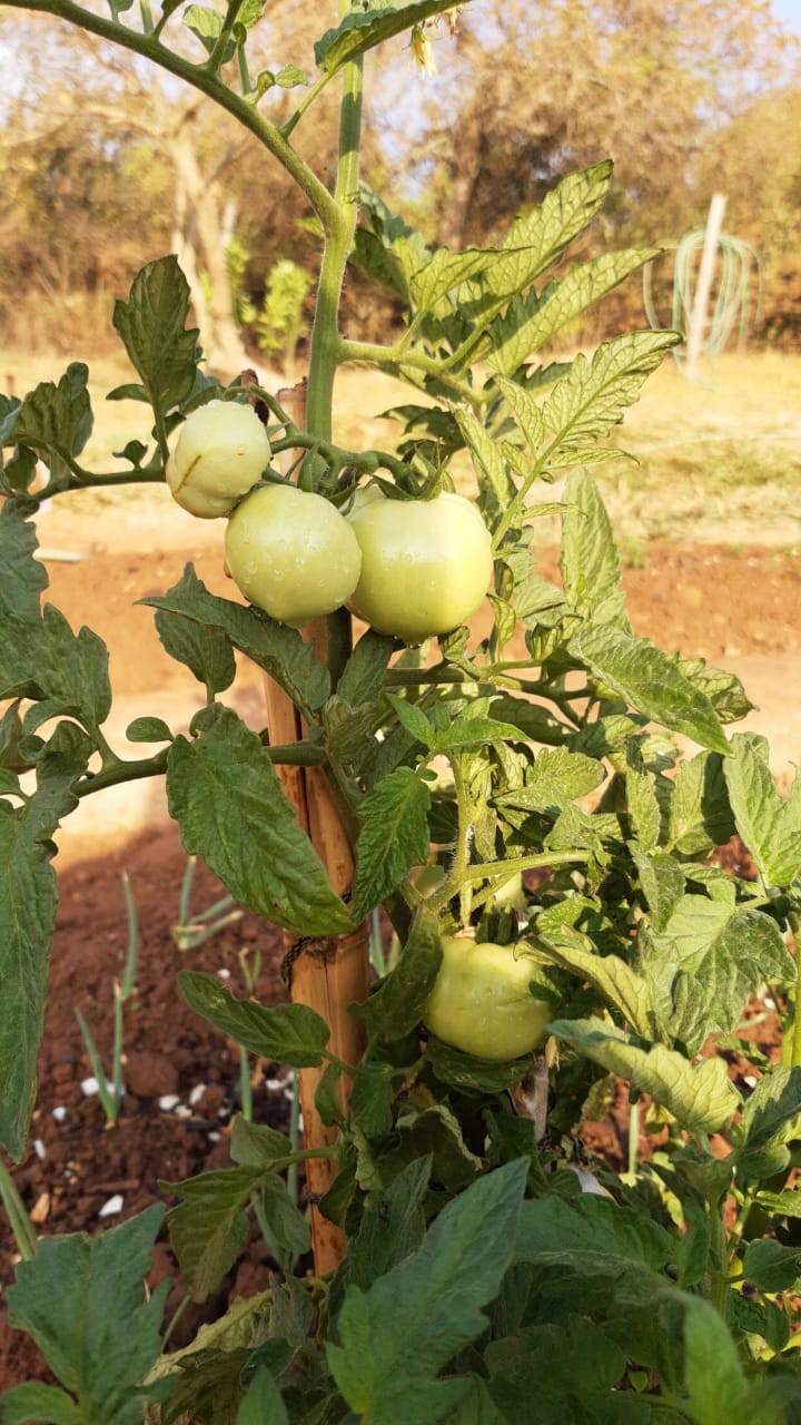 Clinica em Betim MG  1.jpg