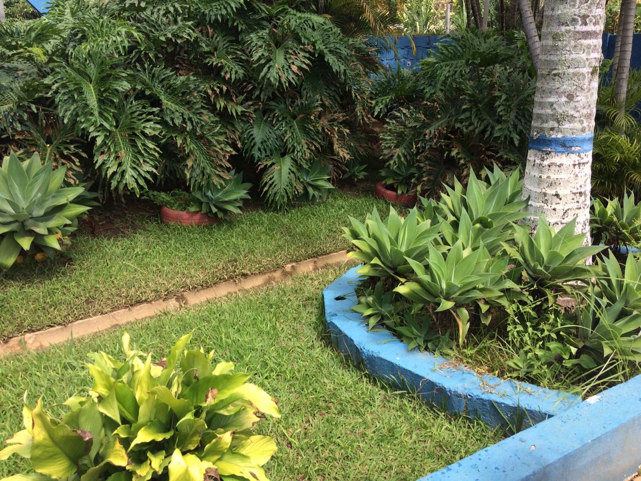 Casa de adictos 211.jpg