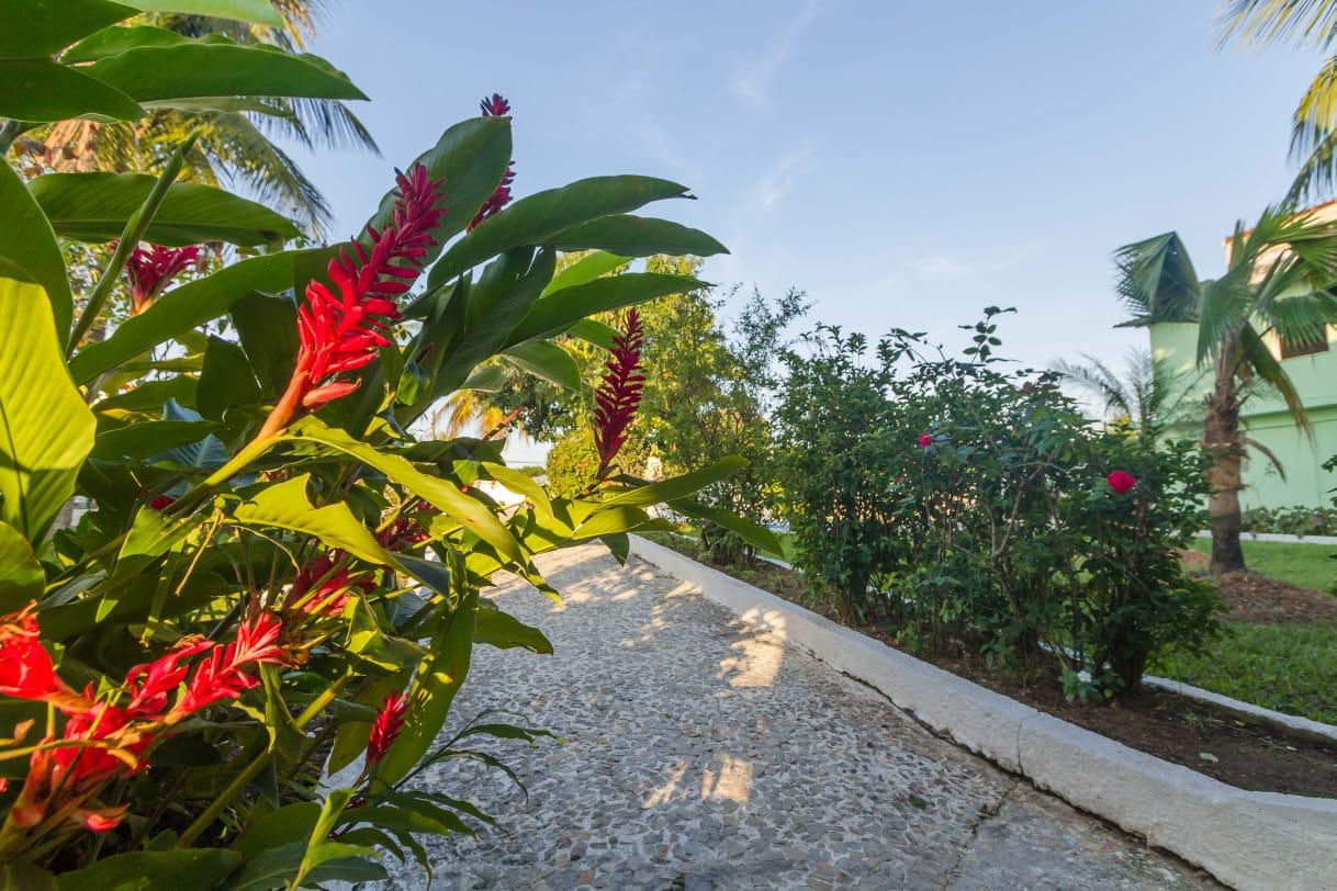 Clinica recuperação RJ 5.jpg