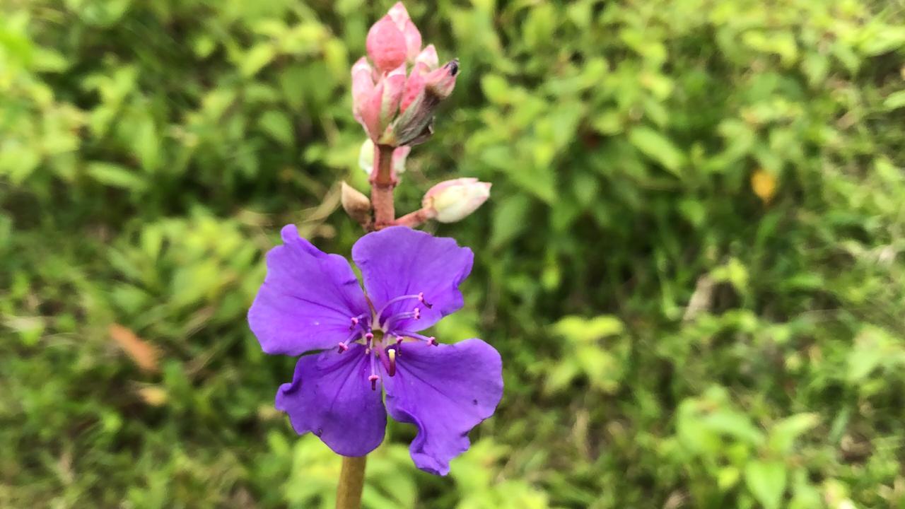 Clinica de reabilitação de dependente químico em Mongaguá  1.jpg