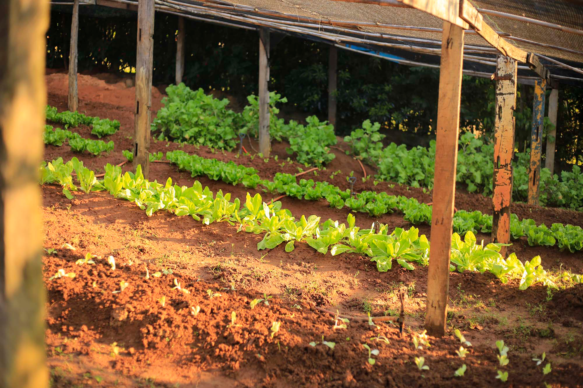 clinica-de-recuperacao-psiquiatra-mairipora-grupo-inter-clinicas (9).jpg