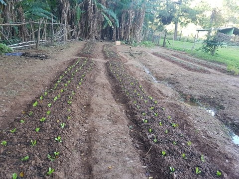Casa de reabilitação em Itu  14.jpg