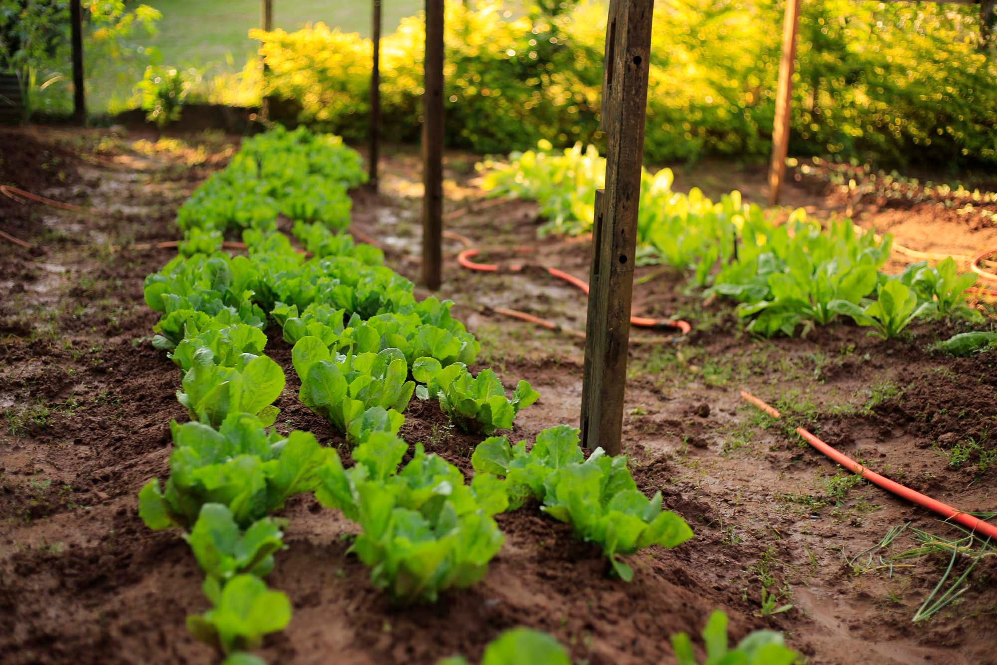 clinica-de-recuperacao-psiquiatra-mairipora-grupo-inter-clinicas (10).jpg