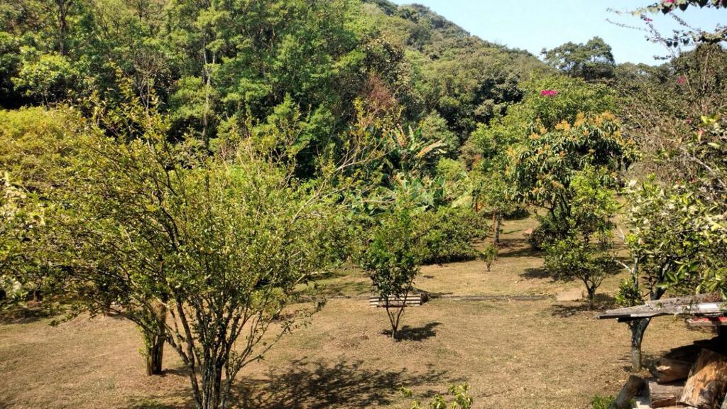 Clinica em Rio Grande da Serra 13.jpg