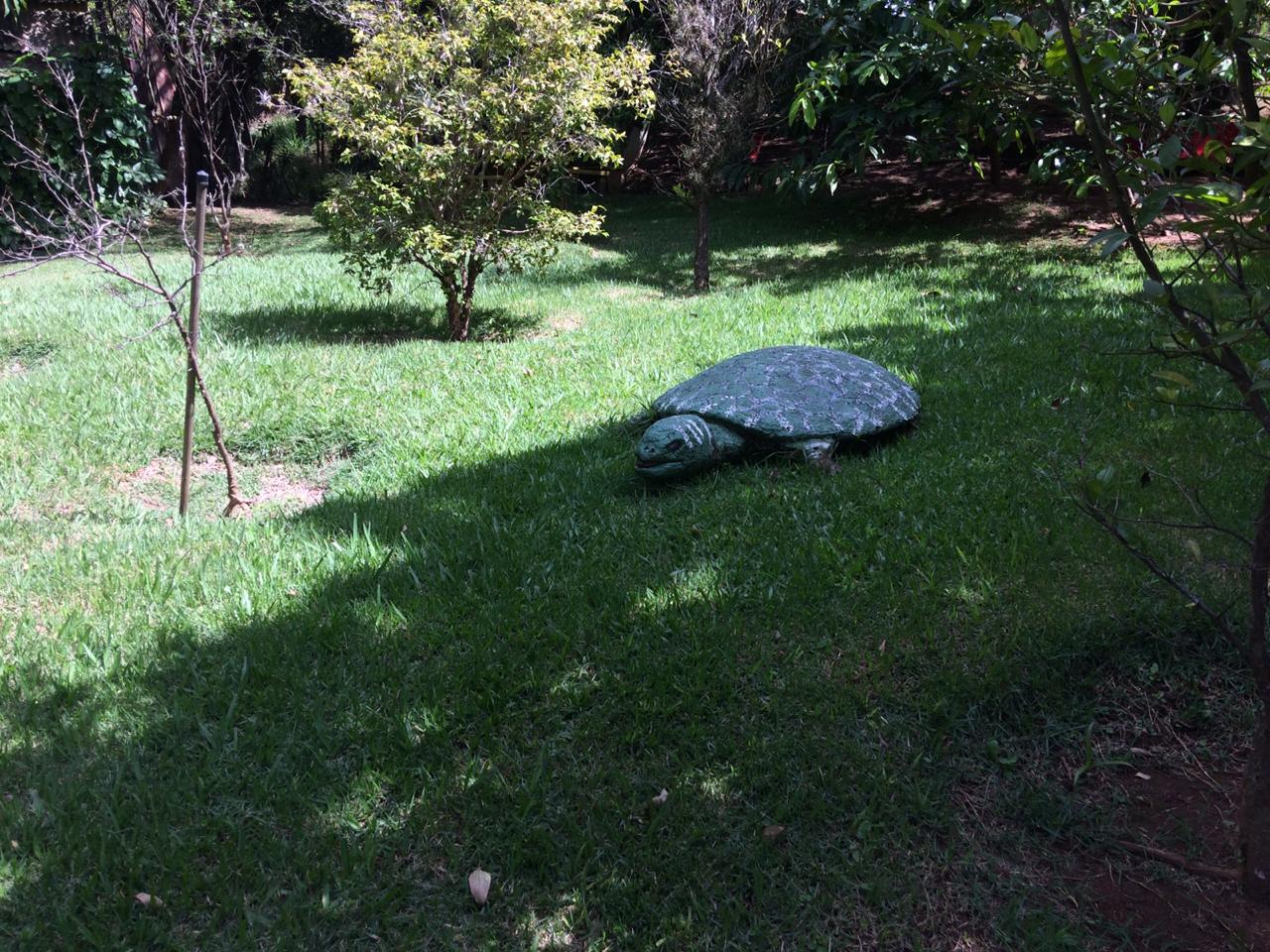 Casa de reabilitação.jpg