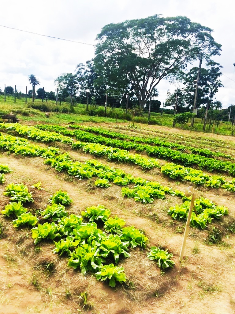 Casa de Recuperação em Aguaí 5.jpg