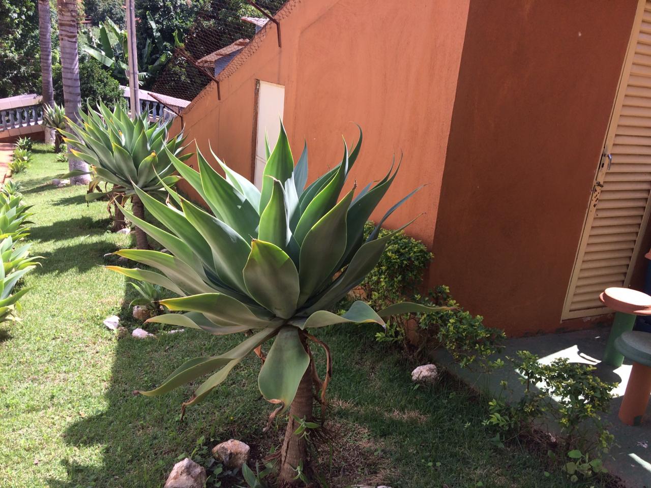 Casa de Recuperação 18.jpg