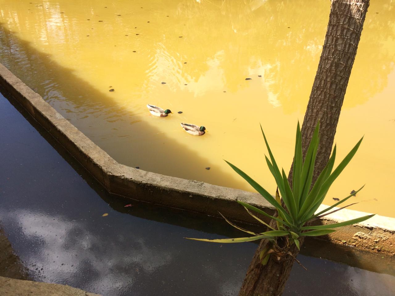 Adictos recuperação.jpg