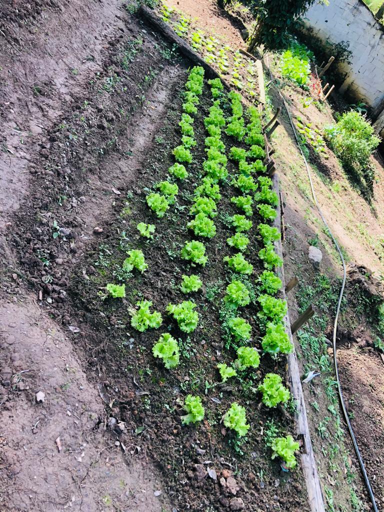 CT Ribeirão Pires 12.jpg