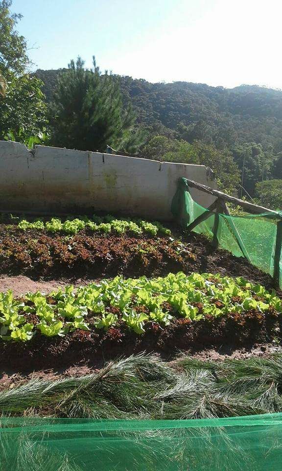 Clinica de Reabilitação de Dependente Químico em Suzano 10.jpg